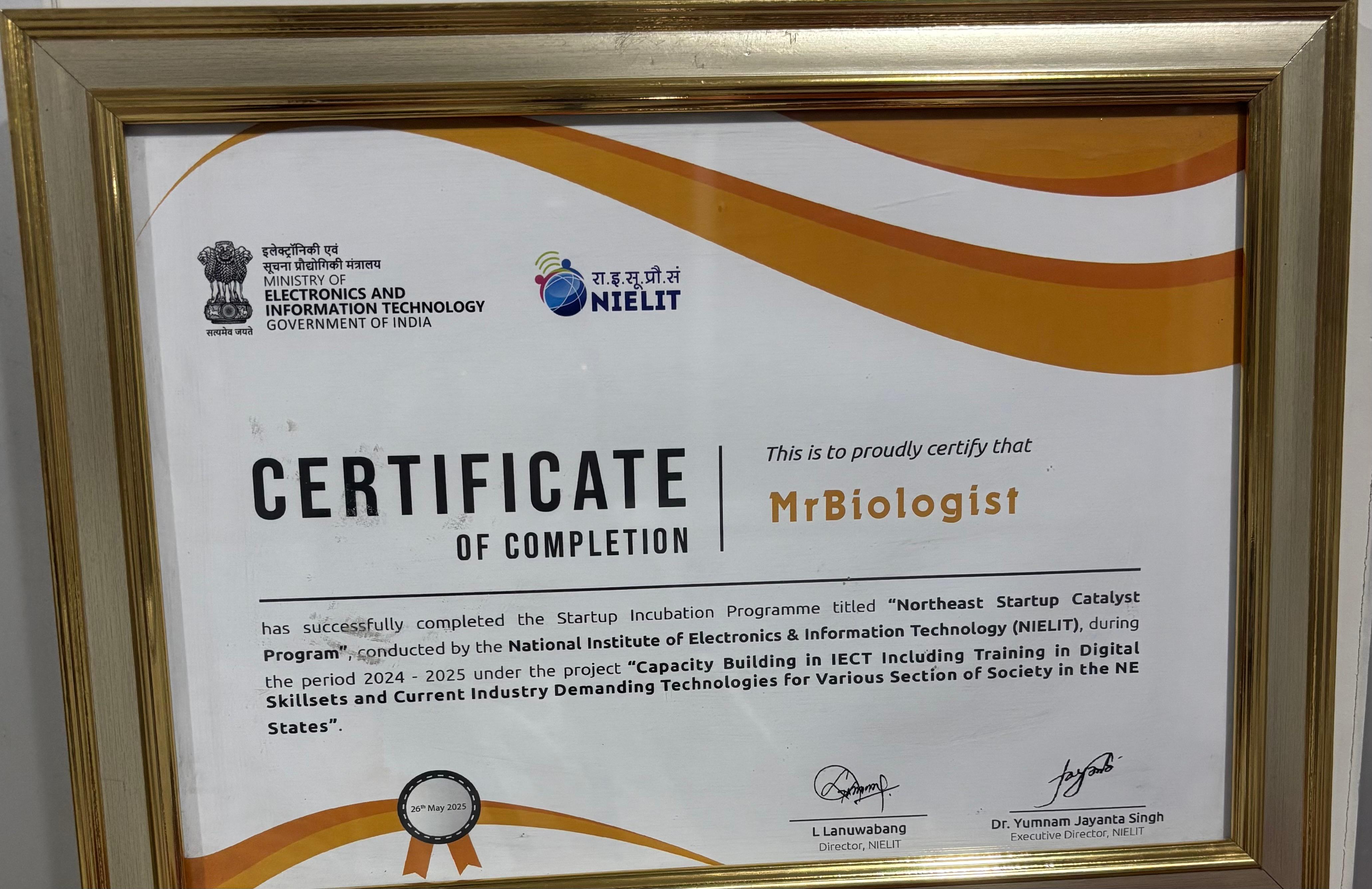 Award 5
