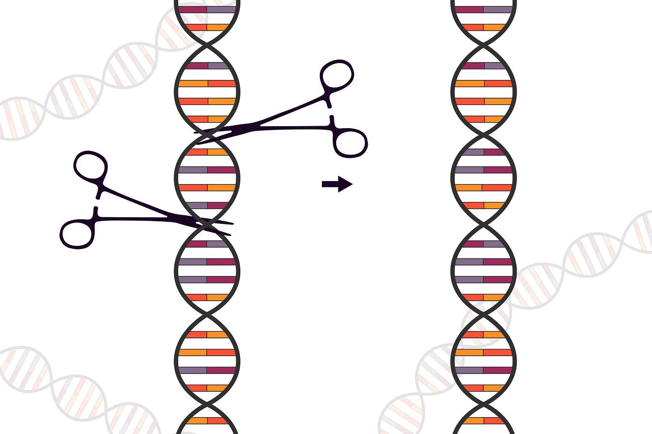 crispr, genetic, scissors-5635795.jpg